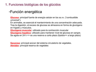 <ul><li>Funciones biológicas de los glúcidos </li></ul><ul><li>Función energética </li></ul>Glucosa : principal fuente de ...