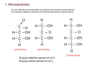 <ul><li>Monosacáridos </li></ul>1 2 3 1 2 3 En una molécula de monosacárido, los carbonos se numeran comenzando por el C d...