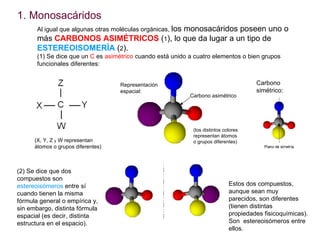 <ul><li>Monosacáridos </li></ul>Al igual que algunas otras moléculas orgánicas,  los monosacáridos poseen uno o más  CARBO...