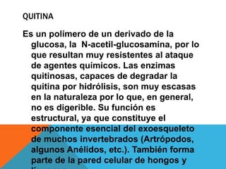 QUITINA

Es un polímero de un derivado de la
  glucosa, la N-acetil-glucosamina, por lo
  que resultan muy resistentes al ataque
  de agentes químicos. Las enzimas
  quitinosas, capaces de degradar la
  quitina por hidrólisis, son muy escasas
  en la naturaleza por lo que, en general,
  no es digerible. Su función es
  estructural, ya que constituye el
  componente esencial del exoesqueleto
  de muchos invertebrados (Artrópodos,
  algunos Anélidos, etc.). También forma
  parte de la pared celular de hongos y
 