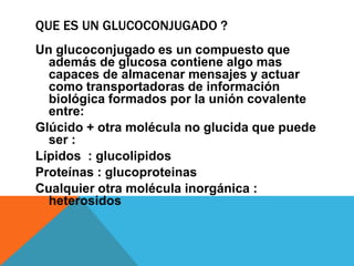 QUE ES UN GLUCOCONJUGADO ?
Un glucoconjugado es un compuesto que
  además de glucosa contiene algo mas
  capaces de almacenar mensajes y actuar
  como transportadoras de información
  biológica formados por la unión covalente
  entre:
Glúcido + otra molécula no glucida que puede
  ser :
Lípidos : glucolipidos
Proteínas : glucoproteinas
Cualquier otra molécula inorgánica :
  heterosidos
 