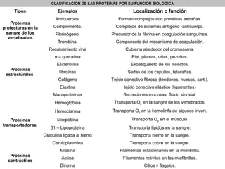 CLASIFICACION DE LAS PROTEINAS POR SU FUNCION BIOLOGICA
Tipos Ejemplos Localización o función
Proteínas
protectoras en la
sangre de los
vertebrados
Anticuerpos. Forman complejos con proteínas extrañas.
Complemento. Complejos de sistemas antígeno -anticuerpo.
Fibrinógeno. Precursor de la fibrina en coagulación sanguínea.
Trombina. Componente del mecanismo de coagulación.
Proteínas
estructurales
Recubrimiento viral Cubierta alrededor del cromosoma.
α – queratina Piel, plumas, uñas, pezuñas.
Esclerotina Exoesqueleto de los insectos.
fibroínas Sedas de los capullos, telarañas.
Colágeno Tejido conectivo fibroso (tendones, huesos, cart.).
Elastina tejido conectivo elástico (ligamentos)
Mucoproteínas Secreciones mucosas, fluido sinovial.
Proteínas
transportadoras
Hemoglobina Transporta O2
en la sangre de los vertebrados.
Hemocianina Transporta O2
en la hemolinfa de algunos invert.
Mioglobina Transporta O2
en el músculo.
β1 – Lipoproteína Transporta lípidos en la sangre.
Globulina ligada al hierro Transporta hierro en la sangre.
Ceruloplasmina Transporta cobre en la sangre.
Proteínas
contráctiles
Miosina Filamentos estacionarios en la miofibrilla.
Actina Filamentos móviles en las miofibrillas.
Dineína Cilios y flagelos.
 