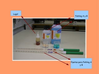 Lugol
            Fehling A y B




        Pipetas para Fehling A
                  yB
 
