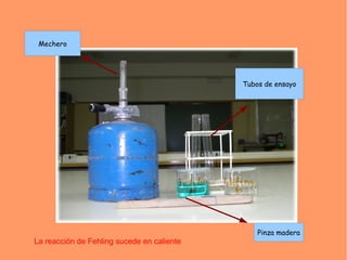 Mechero




                                            Tubos de ensayo




                                                Pinza madera
La reacción de Fehling sucede en caliente
 