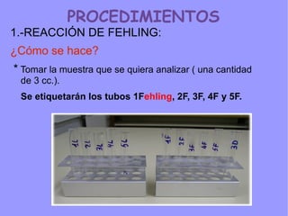 PROCEDIMIENTOS
1.-REACCIÓN DE FEHLING:
¿Cómo se hace?
* Tomar la muestra que se quiera analizar ( una cantidad
 de 3 cc.).
 Se etiquetarán los tubos 1Fehling, 2F, 3F, 4F y 5F.
 