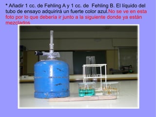 * Añadir 1 cc. de Fehling A y 1 cc. de Fehling B. El líquido del
tubo de ensayo adquirirá un fuerte color azul.No se ve en esta
foto por lo que debería ir junto a la siguiente donde ya están
mezclados
 