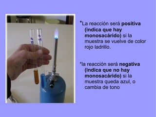 *La reacción será positiva
  (indica que hay
  monosacárido) si la
  muestra se vuelve de color
  rojo ladrillo.


*la reacción será negativa
   (indica que no hay
   monosacárido) si la
   muestra queda azul, o
   cambia de tono
 