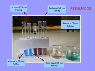 Lactosa al 5% con      Maltosa al 5% con
       Fehling                                 RESULTADOS
                              Fehling




                                       Glucosa al 5% con
                                            Fehling




Almidón al 5% con
                      Sacarosa al 5% con
     Fehling
                           Fehling
 