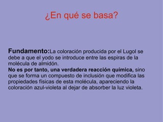 ¿En qué se basa?


Fundamento:La coloración producida por el Lugol se
debe a que el yodo se introduce entre las espiras de la
molécula de almidón.
No es por tanto, una verdadera reacción química, sino
que se forma un compuesto de inclusión que modifica las
propiedades físicas de esta molécula, apareciendo la
coloración azul-violeta al dejar de absorber la luz violeta.
 