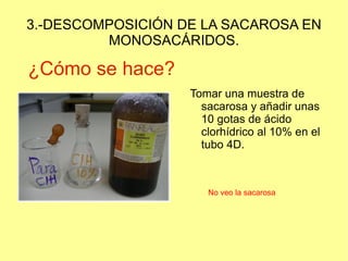3.-DESCOMPOSICIÓN DE LA SACAROSA EN
         MONOSACÁRIDOS.

¿Cómo se hace?
                   Tomar una muestra de
                     sacarosa y añadir unas
                     10 gotas de ácido
                     clorhídrico al 10% en el
                     tubo 4D.



                      No veo la sacarosa
 