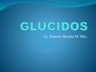 Lic. Roberto Morales M. MSc.
 