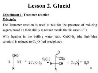 Glucid reaction.ppt