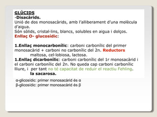 GLÚCIDS
-Disacàrids.
Unió de dos monosacàrids, amb l’alliberament d’una molècula
d’aigua.
Són sòlids, cristal·lins, blancs, solubles en aigua i dolços.
Enllaç O- glucosídic:
1.Enllaç monocarbonílic: carboni carbonílic del primer
monosacàrid + carboni no carbonílic del 2n. Reductors
maltosa, cel·lobiosa, lactosa.
1.Enllaç dicarbonílic: carboni carbonílic del 1r monosacàrid i
el carboni carbonílic del 2n. No queda cap carboni carbonílic
lliure, i per tant no té capacitat de reduir el reactiu Fehling.
la sacarosa.
α-glicosídic: primer monosacàrid és α
β-glicosídic: primer monosacàrid és β
 