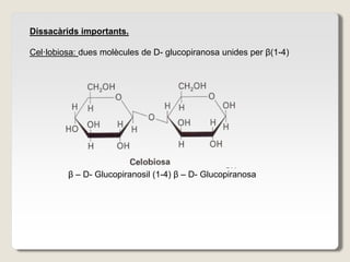 Dissacàrids importants.
Cel·lobiosa: dues molècules de D- glucopiranosa unides per β(1-4)
β – D- Glucopiranosil (1-4) β – D- Glucopiranosa
 