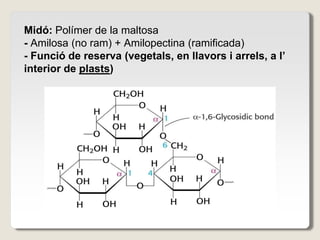 Midó: Polímer de la maltosa
- Amilosa (no ram) + Amilopectina (ramificada)
- Funció de reserva (vegetals, en llavors i arrels, a l’
interior de plasts)
 