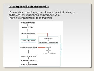 La composició dels éssers vius
-Éssers vius: complexos, unicel·lulars i pluricel·lulars, es
nodreixen, es relacionen i es reprodueixen.
-Nivells d’organització de la matèria:
 