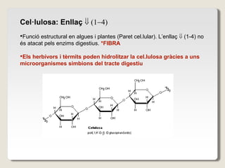 Cel·lulosa: Enllaç -4)
•Funció estructural en algues i plantes (Paret cel.lular). L’enllaç  (1-4) no
és atacat pels enzims digestius. *FIBRA
•Els herbívors i tèrmits poden hidrolitzar la cel.lulosa gràcies a uns
microorganismes simbions del tracte digestiu
 
