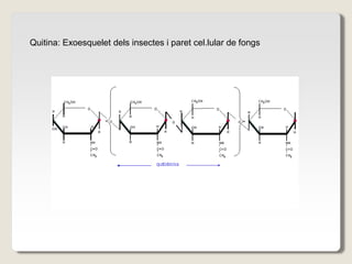 Quitina: Exoesquelet dels insectes i paret cel.lular de fongs
 