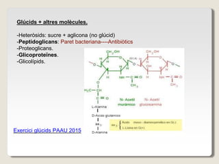 Glúcids + altres molècules.
-Heteròsids: sucre + aglicona (no glúcid)
-Peptidoglicans: Paret bacteriana----Antibiòtics
-Proteoglicans.
-Glicoproteïnes.
-Glicolípids.
Exercici glúcids PAAU 2015
 