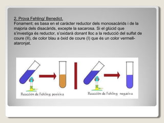 2. Prova Fehling/ Benedict.
Fonament; es basa en el caràcter reductor dels monosacàrids i de la
majoria dels disacàrids, excepte la sacarosa. Si el glúcid que
s’investiga és reductor, s’oxidarà donant lloc a la reducció del sulfat de
coure (II), de color blau a òxid de coure (I) que és un color vermell-
ataronjat.
 