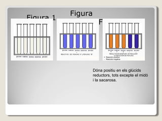 Figura 1
Figura
2 Figura 3
Dóna positiu en els glúcids
reductors, tots excepte el midó
i la sacarosa.
 