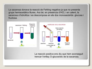 La sacarosa donava la reacció de Fehling negativa ja que no presenta
grups hemiacetàlics lliures. Ara bé, en presència d’HCl, i en calent, la
sacarosa s’hidrolitza i es descomposa en els dos monosacàrids: glucosa i
fructosa.
La reacció positiva ens diu que hem aconseguit
trencar l’enllaç O-glucosídic de la sacarosa.
 