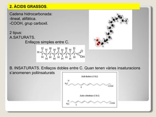 2. ÀCIDS GRASSOS.
Cadena hidrocarbonada:
-lineal, alifàtica.
-COOH, grup carboxil.
2 tipus:
A.SATURATS.
Enllaços simples entre C.
B. INSATURATS. Enllaços dobles entre C. Quan tenen vàries insaturacions
s’anomenen poliinsaturats
 