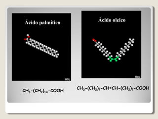 Ácido palmítico
CH3-(CH2)14-COOH
Ácido oleico
CH3-(CH2)7-CH=CH-(CH2)7-COOH
 
