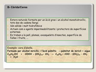 B- Cèrids/Ceres
Esters naturals formats per un àcid gras i un alcohol monohidroxílic,
tots dos de cadena llarga
Són sòlids i molt hidrofòbics
Actuen com a agents impermeabilitzants i protectors de superfícies
externes.
Es troben a la pell, plomes, exosquelets d’insectes, superfície de
fulles i fruits, ...
Exemple: cera d’abella.
Formada per alcohol miricílic i l’àcid palmític palmitat de miricil + aigua
C30H61OH + COOH - (CH2)14- CH3  C30H61- COO – (CH2)14 – CH3
+ H2O
 