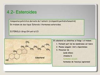 Compostos policíclics derivats de l'esterà (ciclopentà perhidrofenantrè)
En trobem de dos tipus: Esterols i Hormones esteroides.
ESTEROLS: Grup OH unit al C3
4.2- Esteroides
El colesterol es sintetitza al fetge i el trobem :
1. Formant part de les membranes cel·lulars
2. Plasma sanguini: Unit a liporoteines
3. Precursor de
àcids biliars
vitamina D
hormones sexuals
hormones de l’escorça suprarenal
 