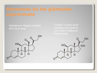 Hormones de les glàndules
suprarenals
Aldosterona: Regula l’equilibri
iònic de la sang
Cortisol: La seva acció
supresora del sistema
immunitari s’utilitza en
farmacologia
 