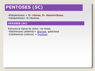 PENTOSES (5C)
HEXOSES (6C)
Estructura típica és cíclia i no lineal.
-Aldohexosa (aldehid)= glucosa, galactosa
-Cetohexosa (cetona) = fructosa.
-Aldopentoses = D- ribosa, D- desoxiribosa.
-Cetopentosa= D-ribulosa.
 