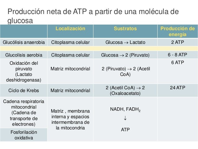 Glucólisis