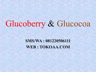 Glucoberry & Glucocoa
SMS/WA : 081220506111
WEB : TOKOAA.COM
 