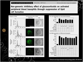 Clinical and Experimental Immunology,2012 170: 86–93
 