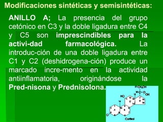 Modificaciones sintéticas y semisintéticas:
 ANILLO A; La presencia del grupo
 cetónico en C3 y la doble ligadura entre C4
 y C5 son imprescindibles para la
 activi-dad        farmacológica.         La
 introduc-ción de una doble ligadura entre
 C1 y C2 (deshidrogena-ción) produce un
 marcado incre-mento en la actividad
 antiinflamatoria,     originándose        la
 Pred-nisona y Prednisolona.


                                                5
 