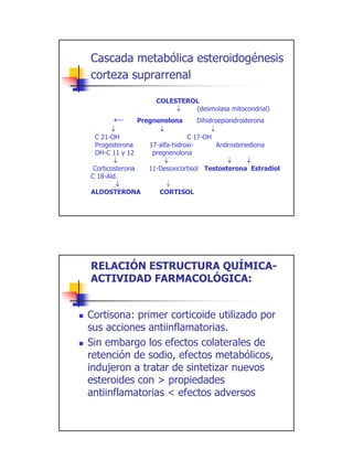 Cascada metabólica esteroidogénesis
corteza suprarrenal

                    COLESTEROL
                         ↓   (desmolasa mitocondrial)
      ←      Pregnenolona          Dihidroepiandrosterona
        ↓          ↓                    ↓
  C 21-OH                      C 17-OH
  Progesterona    17-alfa-hidroxi-        Androstenediona
  OH-C 11 y 12     pregnenolona
         ↓             ↓                     ↓      ↓
 Corticosterona   11-Desoxicortisol Testosterona Estradiol
C 18-Ald.
          ↓           ↓
ALDOSTERONA          CORTISOL




RELACIÓN ESTRUCTURA QUÍMICA-
ACTIVIDAD FARMACOLÓGICA:


Cortisona: primer corticoide utilizado por
sus acciones antiinflamatorias.
Sin embargo los efectos colaterales de
retención de sodio, efectos metabólicos,
indujeron a tratar de sintetizar nuevos
esteroides con > propiedades
antiinflamatorias < efectos adversos




                                                             3
 