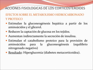 ACCIONES FISIOLOGICAS DE LOS CORTICOSTEROIDES
EFECTOS SOBRE EL METABOLISMO HIDROCARBONADO
Y PROTEICO
 Estimulan la gluconeogénesis hepática a partir de los
aminoácidos y el glicerol.
 Reducen la captación de glucosa en los tejidos.
 Aumentan indirectamente la secreción de insulina.
 Estimulan el catabolismo proteico para la provisión de
aminoácidos para la gluconeogénesis (equilibrio
nitrogenado negativo)
 Resultado: Hiperglucemia (diabetes metacorticoidea).
 