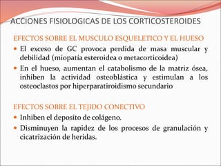 ACCIONES FISIOLOGICAS DE LOS CORTICOSTEROIDES
EFECTOS SOBRE EL MUSCULO ESQUELETICO Y EL HUESO
 El exceso de GC provoca perdida de masa muscular y
debilidad (miopatía esteroidea o metacorticoidea)
 En el hueso, aumentan el catabolismo de la matriz ósea,
inhiben la actividad osteoblástica y estimulan a los
osteoclastos por hiperparatiroidismo secundario
EFECTOS SOBRE EL TEJIDO CONECTIVO
 Inhiben el deposito de colágeno.
 Disminuyen la rapidez de los procesos de granulación y
cicatrización de heridas.
 