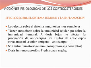 ACCIONES FISIOLOGICAS DE LOS CORTICOSTEROIDES
EFECTOS SOBRE EL SISTEMA INMUNE Y LA INFLAMACION
 Los efectos sobre el sistema inmune son muy complejos
 Tienen mas efecto sobre la inmunidad celular que sobre la
inmunidad humoral. A dosis bajas no afectan la
producción de anticuerpos, los títulos de anticuerpos
circulantes ni la unión antígeno – anticuerpo.
 Son antiinflamatorios e inmunosupresores (a dosis altas)
 Dosis inmunosupresión: Prednisona 1 mg/kg
 