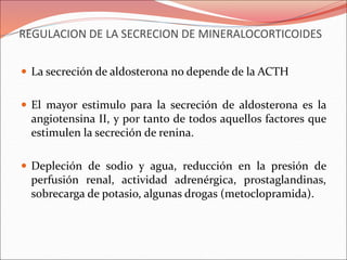 REGULACION DE LA SECRECION DE MINERALOCORTICOIDES
 La secreción de aldosterona no depende de la ACTH
 El mayor estimulo para la secreción de aldosterona es la
angiotensina II, y por tanto de todos aquellos factores que
estimulen la secreción de renina.
 Depleción de sodio y agua, reducción en la presión de
perfusión renal, actividad adrenérgica, prostaglandinas,
sobrecarga de potasio, algunas drogas (metoclopramida).
 