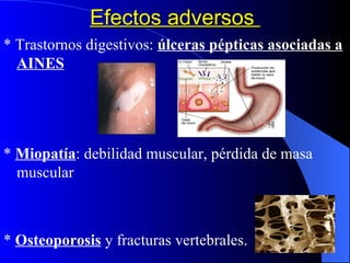 Efectos adversos  * Trastornos digestivos:  úlceras pépticas asociadas a AINES *  Miopatía : debilidad muscular, pérdida de masa muscular *  Osteoporosis  y fracturas vertebrales. 