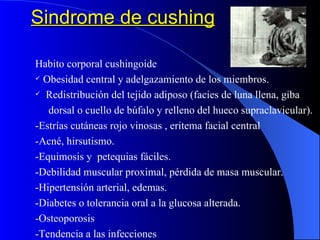 Sindrome de cushing Habito corporal cushingoide Obesidad central y adelgazamiento de los miembros.  Redistribución del tejido adiposo (facies de luna llena, giba  dorsal o cuello de búfalo y relleno del hueco supraclavicular). -Estrías cutáneas rojo vinosas , eritema facial central -Acné, hirsutismo. -Equimosis y  petequias fáciles. -Debilidad muscular proximal, pérdida de masa muscular. -Hipertensión arterial, edemas. -Diabetes o tolerancia oral a la glucosa alterada. -Osteoporosis -Tendencia a las infecciones 