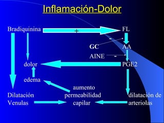 Inflamación-Dolor Bradiquinina FL   - GC   AA AINE   - dolor PGE2 edema aumento Dilatación   permeabilidad    dilatación de Venulas capilar   arteriolas + 