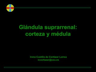 Inma Castilla de Cortázar Larrea
iccortazar@ceu.es
Glándula suprarrenal:
corteza y médula
 