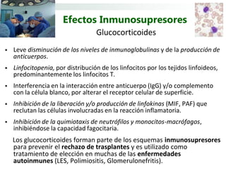 Efectos Inmunosupresores
                                   Glucocorticoides
   Leve disminución de los niveles de inmunoglobulinas y de la producción de
    anticuerpos.
   Linfocitopenia, por distribución de los linfocitos por los tejidos linfoideos,
    predominantemente los linfocitos T.
   Interferencia en la interacción entre anticuerpo (IgG) y/o complemento
    con la célula blanco, por alterar el receptor celular de superficie.
   Inhibición de la liberación y/o producción de linfokinas (MIF, PAF) que
    reclutan las células involucradas en la reacción inflamatoria.
   Inhibición de la quimiotaxis de neutrófilos y monocitos-macrófagos,
    inhibiéndose la capacidad fagocitaria.
    Los glucocorticoides forman parte de los esquemas inmunosupresores
    para prevenir el rechazo de trasplantes y es utilizado como
    tratamiento de elección en muchas de las enfermedades
    autoinmunes (LES, Polimiositis, Glomerulonefritis).
 