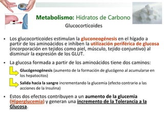 Metabolismo: Hidratos de Carbono
                                 Glucocorticoides

   Los glucocorticoides estimulan la gluconeogénesis en el hígado a
    partir de los aminoácidos e inhiben la utilización periférica de glucosa
    (incorporación en tejidos como piel, músculo, tejido conjuntivo) al
    disminuir la expresión de los GLUT.
   La glucosa formada a partir de los aminoácidos tiene dos caminos:
        Glucógenogénesis (aumento de la formación de glucógeno al acumularse en
        los hepatocitos)
        Salida hacia la sangre incrementando la glucemia (efecto contrario a las
        acciones de la Insulina)
   Estos dos efectos contribuyen a un aumento de la glucemia
    (Hiperglucemia) y generan una incremento de la Tolerancia a la
    Glucosa.
 