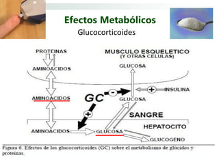 Efectos Metabólicos
  Glucocorticoides
 