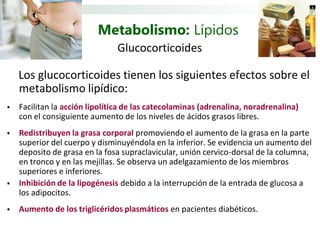 Metabolismo: Lípidos
                               Glucocorticoides

    Los glucocorticoides tienen los siguientes efectos sobre el
    metabolismo lipídico:
   Facilitan la acción lipolítica de las catecolaminas (adrenalina, noradrenalina)
    con el consiguiente aumento de los niveles de ácidos grasos libres.
   Redistribuyen la grasa corporal promoviendo el aumento de la grasa en la parte
    superior del cuerpo y disminuyéndola en la inferior. Se evidencia un aumento del
    deposito de grasa en la fosa supraclavicular, unión cervico-dorsal de la columna,
    en tronco y en las mejillas. Se observa un adelgazamiento de los miembros
    superiores e inferiores.
   Inhibición de la lipogénesis debido a la interrupción de la entrada de glucosa a
    los adipocitos.
   Aumento de los triglicéridos plasmáticos en pacientes diabéticos.
 