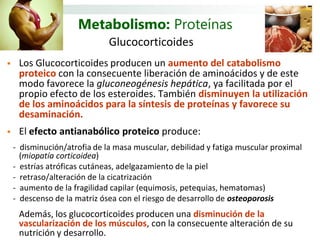Metabolismo: Proteínas
                              Glucocorticoides
    Los Glucocorticoides producen un aumento del catabolismo
     proteico con la consecuente liberación de aminoácidos y de este
     modo favorece la gluconeogénesis hepática, ya facilitada por el
     propio efecto de los esteroides. También disminuyen la utilización
     de los aminoácidos para la síntesis de proteínas y favorece su
     desaminación.
    El efecto antianabólico proteico produce:
    - disminución/atrofia de la masa muscular, debilidad y fatiga muscular proximal
      (miopatía corticoidea)
    - estrías atróficas cutáneas, adelgazamiento de la piel
    - retraso/alteración de la cicatrización
    - aumento de la fragilidad capilar (equimosis, petequias, hematomas)
    - descenso de la matriz ósea con el riesgo de desarrollo de osteoporosis
     Además, los glucocorticoides producen una disminución de la
     vascularización de los músculos, con la consecuente alteración de su
     nutrición y desarrollo.
 